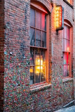 Gum Wall - Office Wall Art - Pacific Nothwest Series