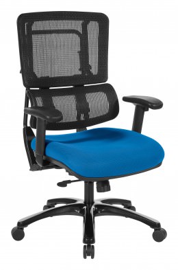 Mesh Back Chair with Lumbar Support - Pro Line II