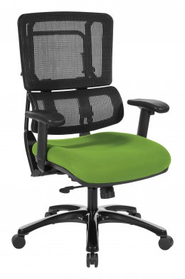 Mesh Back Ergonomic Chair - Pro Line II Series