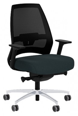 Adjustable Office Chair with Lumbar Support