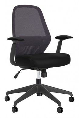Mesh Back Chair with Lumbar Support - Rise Series