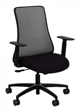 Mesh Back Chair with Lumbar Support - Genie