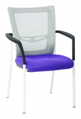 Mesh Back Guest Chair - Pro Line II