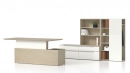 Sit Stand Desk with Storage - Nex