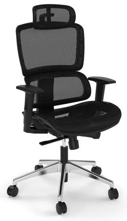 Mesh Office Chair with Headrest - Pilot Series