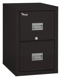 2 Drawer Fireproof File Cabinet - Legal & Letter Size - Patriot Seri...