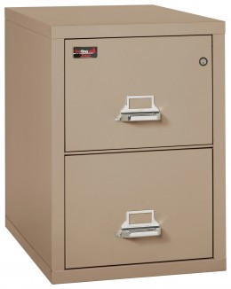 2 Drawer Fireproof File Cabinet - Letter Size