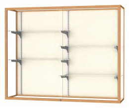Wall Mounted Display Case with Aluminum Frame - 60