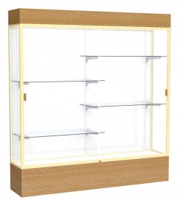 Large Display Case with Lighting - 72