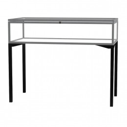 Tabletop Display Case with Hinged Top - 48 x 38