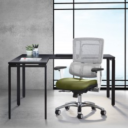 Ergonomic Task Chair with Lumbar Support - Pro Line II