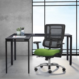 Mesh Back Ergonomic Task Chair - Pro Line II