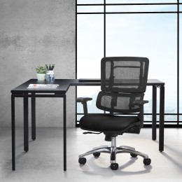 Ergonomic Office Chair with Lumbar Support - Pro Line II