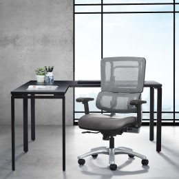 Mesh Task Chair with Lumbar Support - Pro Line II