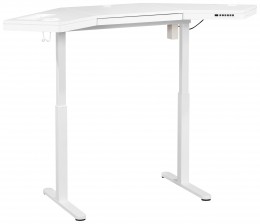 Standing Desk with Drawers