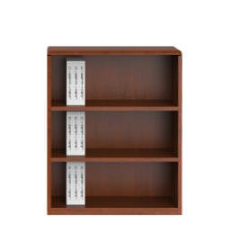 Contemporary Bookcase