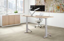 Sit to Stand Height Adjustable Desk