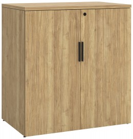 Office Storage Cabinet