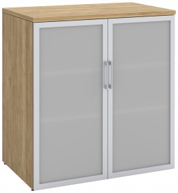Office Storage Cabinet with Glass Doors