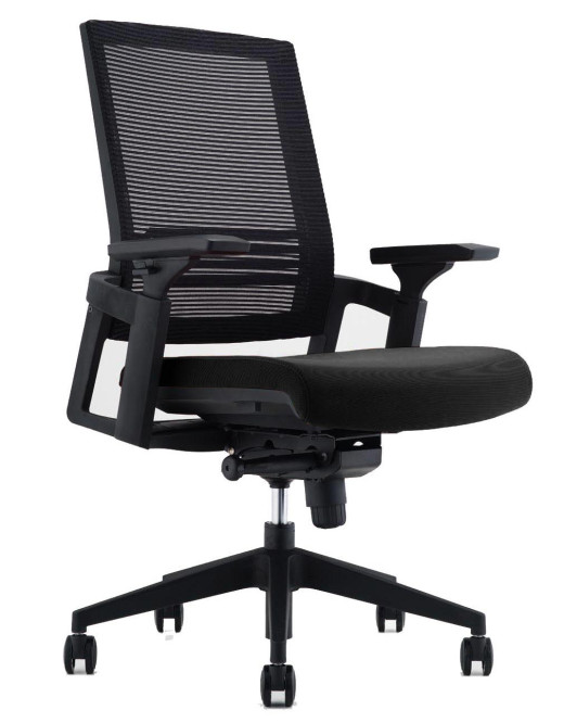 Forte Ergonomic Multi-Function Chair