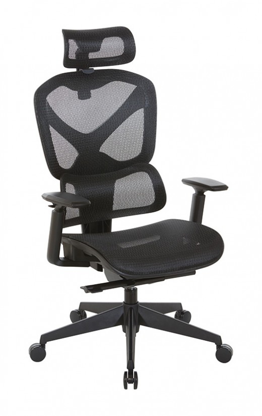 Mesh Seat and Back Manager's Chair with Headrest - 29.1W x 26D x 44.75H