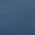 Navy Color