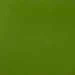 Green Color