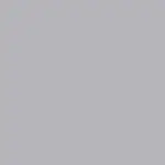 Metallic Gray Color