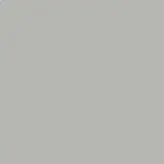 VM Gray Color