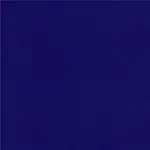 VY Blue Color