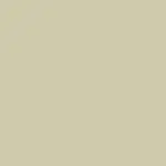 Putty Color
